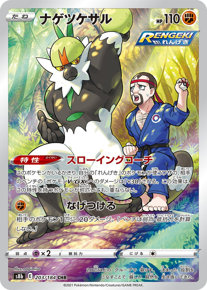 Passimian S8B 203/184 CHR JPN
