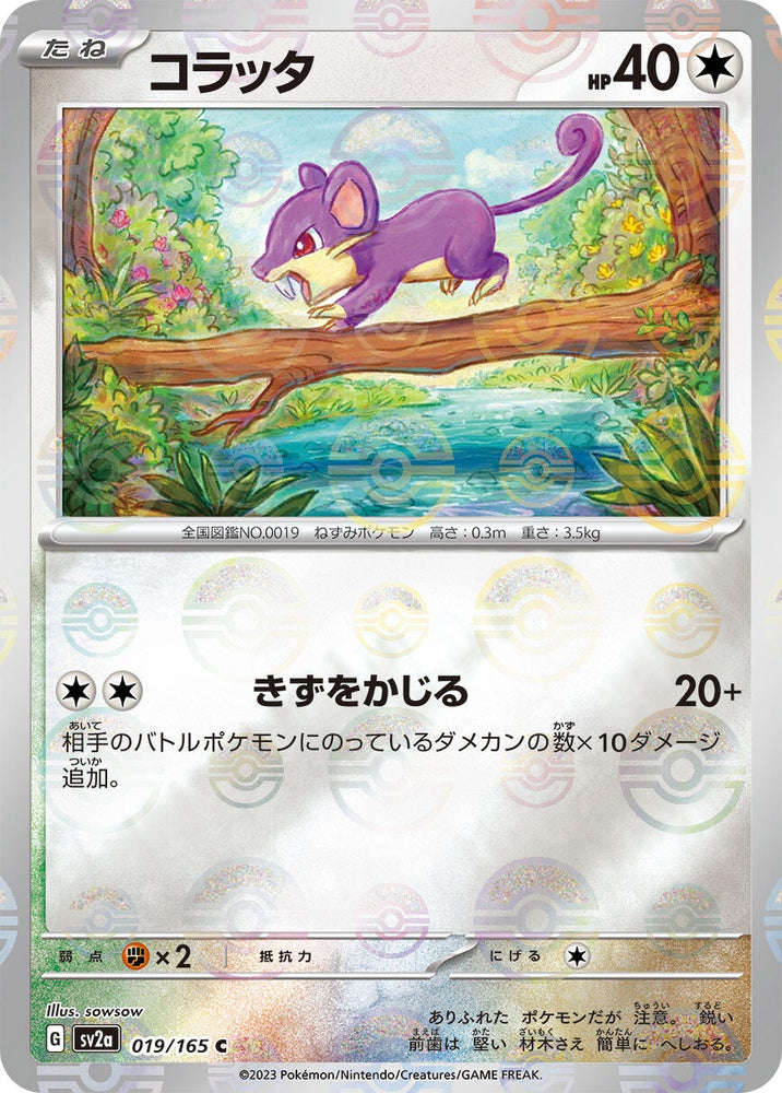 Rattata POKEBALL Holo SV2A 019/165 JPN