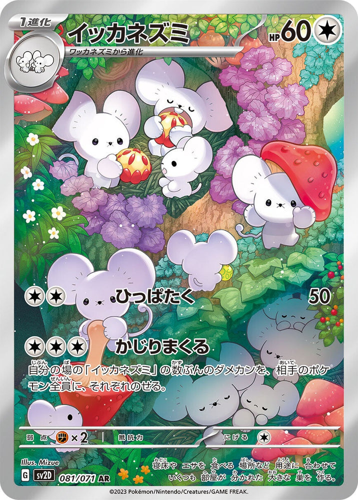 Maushold SV2D 081/071 AR JPN