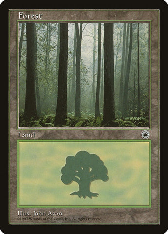 Forest (Ferns on Ground)