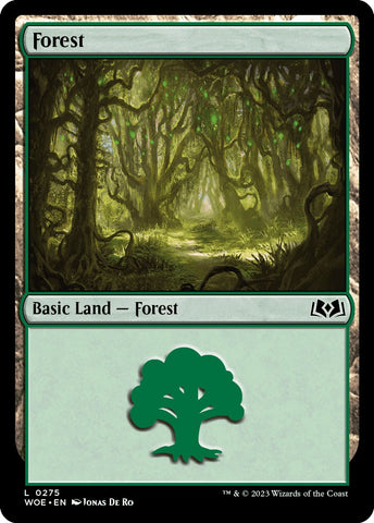 Forest (0275)
