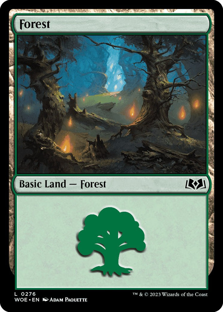 Forest (0276)