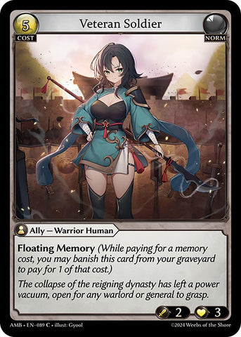 Veteran Soldier