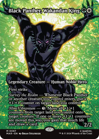 Black Panther, Wakandan King (Borderless)