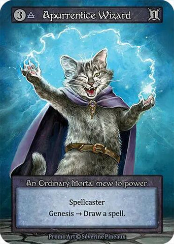 Apurrentice Wizard [Promos]