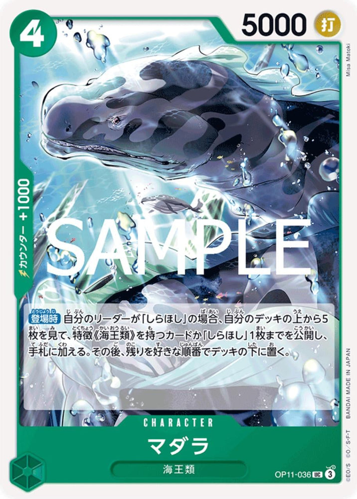 Spotted Neptunian - OP11-036