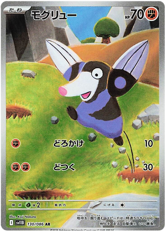 Dirlbur SV11B 130/086 AR JPN