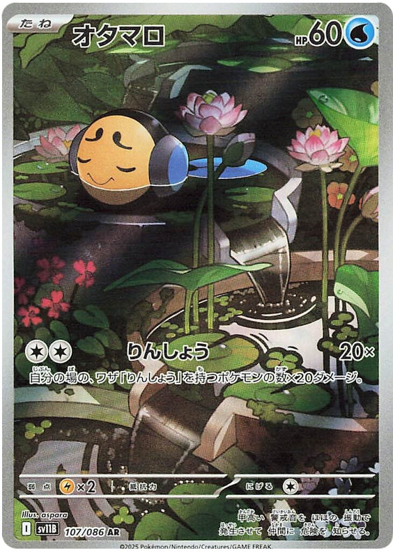 Tympole SV11B 107/086 AR JPN