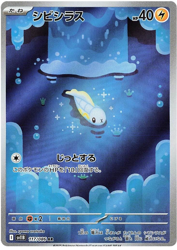 Tynamo SV11B 117/086 AR JPN