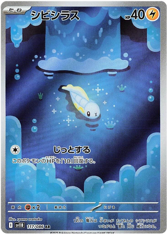 Tynamo SV11B 117/086 AR JPN