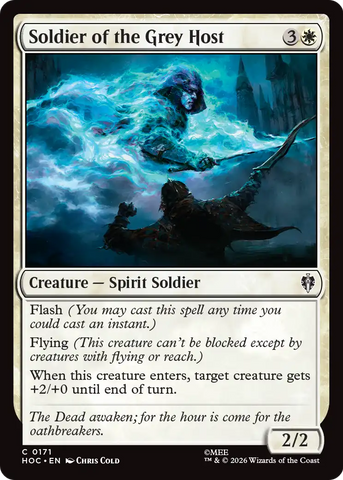 Soldier of the Grey Host [The Hobbit: Eternal-Legal]