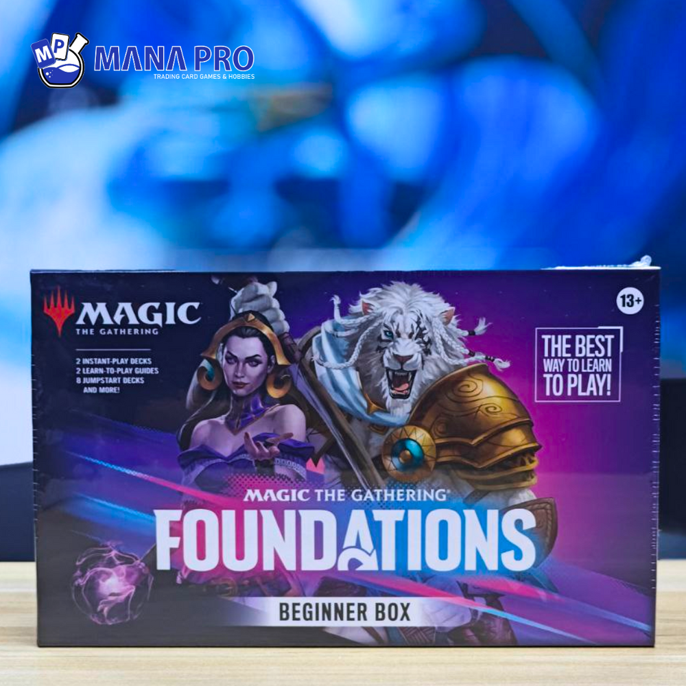 FOUNDATIONS BEGINNER BOX